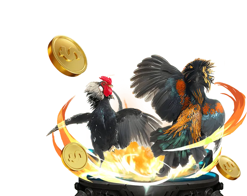 Casino trực tuyến fu88 bet